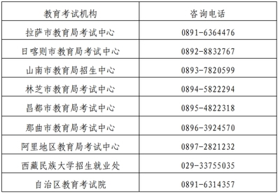 2024上半年西藏教資面試報名即將啟動 關鍵時間與備考指南