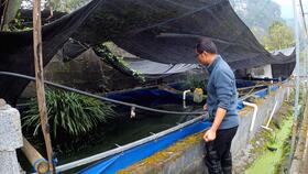 工廠化高密度水產養殖 圓桶刀刮布魚池循環水系統施工詳解