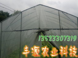 工廠化水產(chǎn)養(yǎng)殖系統(tǒng) 現(xiàn)代水產(chǎn)養(yǎng)殖的高效革命