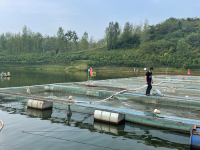 谷城水產(chǎn)養(yǎng)殖 綠色轉(zhuǎn)型中的產(chǎn)業(yè)新篇章