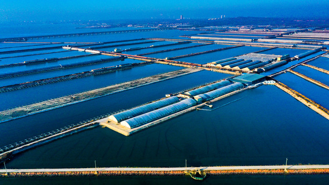 海產養殖與水產養殖 藍色經濟下的機遇與挑戰