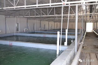 東方龍商務高端水產養殖全國布局項目政府對接會即將召開，共繪產業發展新藍圖